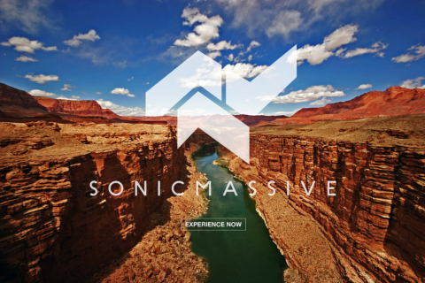 Sonic Massive Logo & Packaging